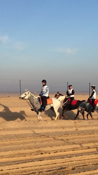 Photos of إسطبلات الرمال العربية