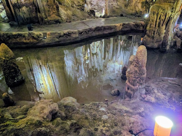 Tantanoola Caves Conservation Park