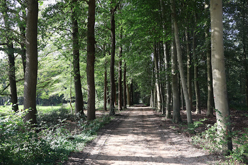 De Horte Gallery - Netherlands