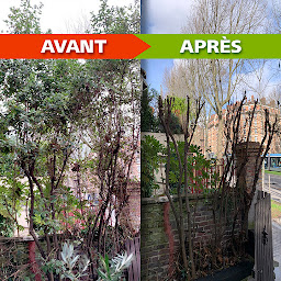 Photo n°25 de Elagueur paysagiste 78 Sp Élagage à Magny-les-Hameaux (Paysagiste)