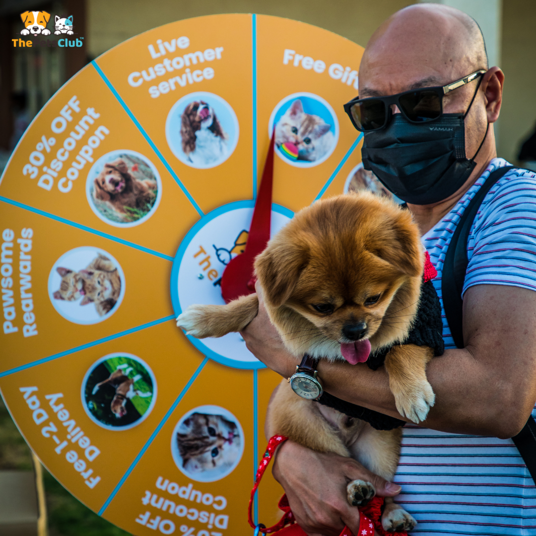 ThePetsClub - صورة 3