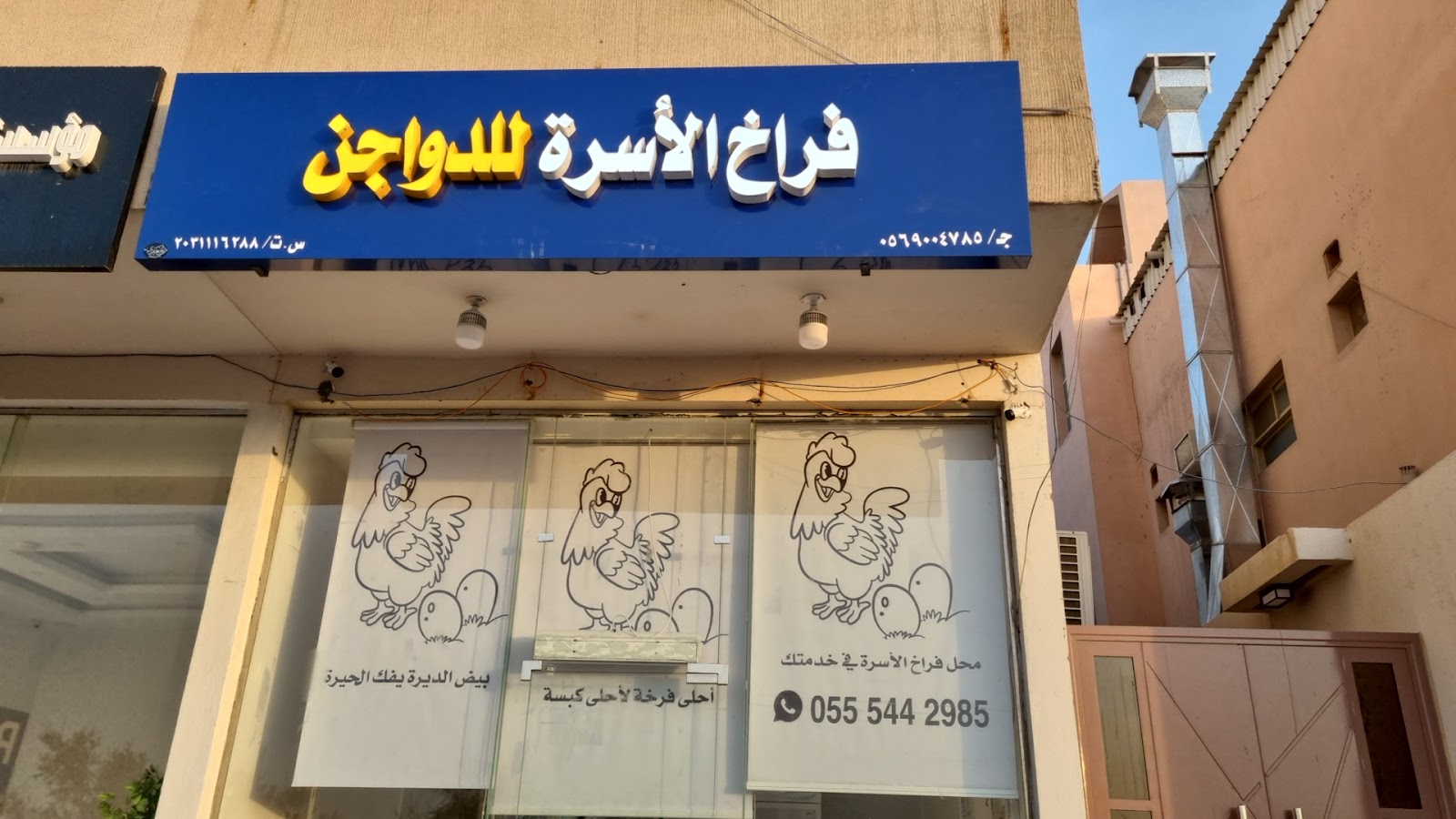 دجاج الأسرة للدواجن