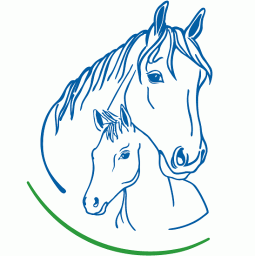 Stutenmilch-Zentrum - Thumbnail