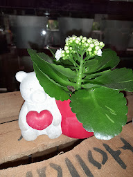 Photo n°32 de Un jour, une fleur à Sarrebourg (Fleuriste)