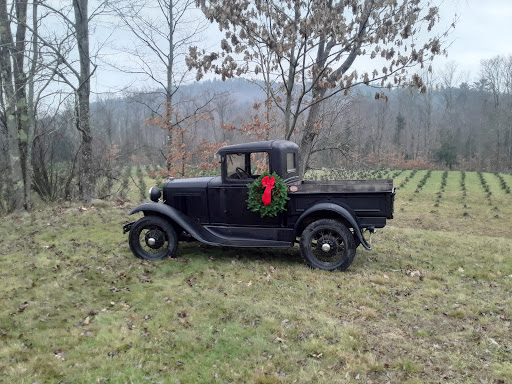 Wild Meadow Christmas Trees - Thumbnail