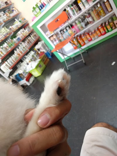 Photos of ពេទ្យសត្វណាវេតកូ​​ NAVETCO Animal Clinic