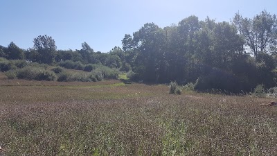 Photos of Onsted State Game Area