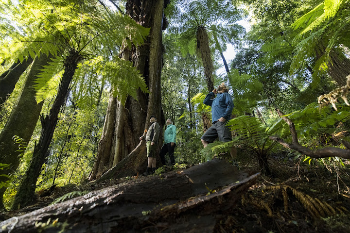 Timber Trail Lodge by null