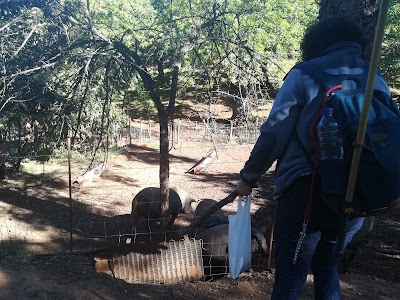 Photos of El Quinque
