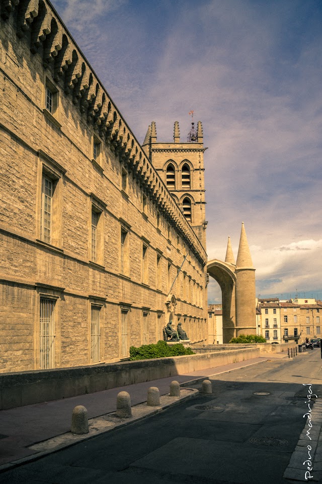 Universite de Montpellier I - Faculté de Médecine