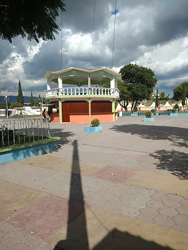Base de Transporte Colectivo