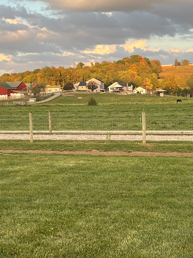 Benton Barnyard - Visual