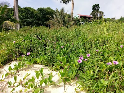 Photos of Coconut Beach Bungalows