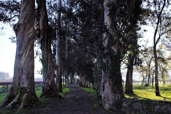 Pazo de Barrantes by null