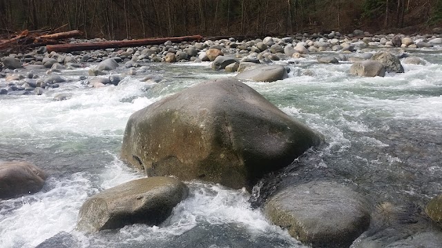 Lynn Canyon Park