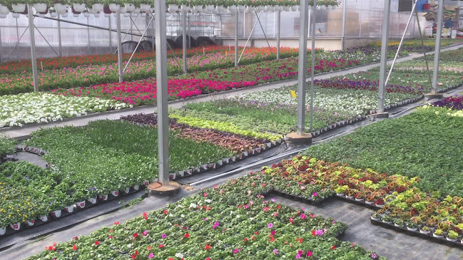 DUBOZ Horticulture EURL