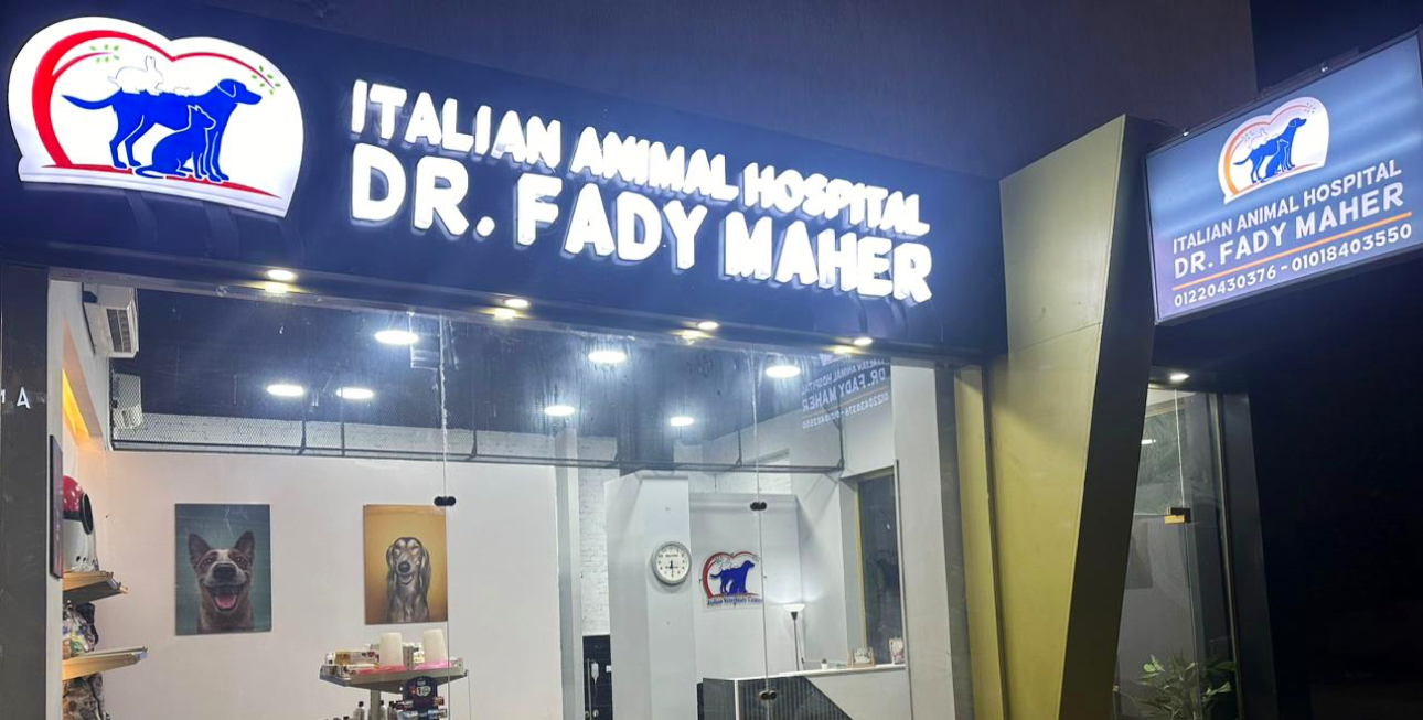 ITALIAN ANIMAL HOSPITAL