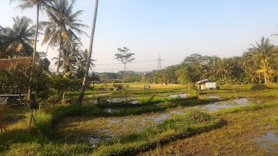 Photos of Joglo Ngaran