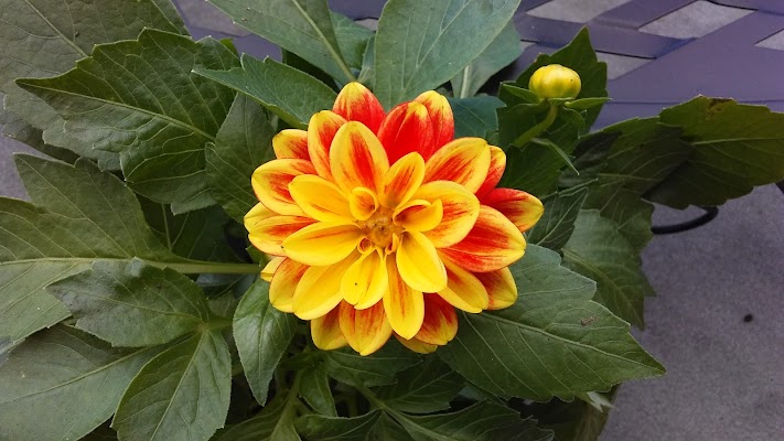Home - Image 4