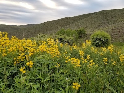 Rivers Edge Group Campground