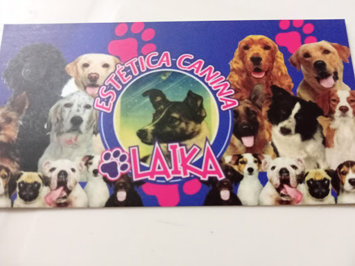 Estetica Canina Laika