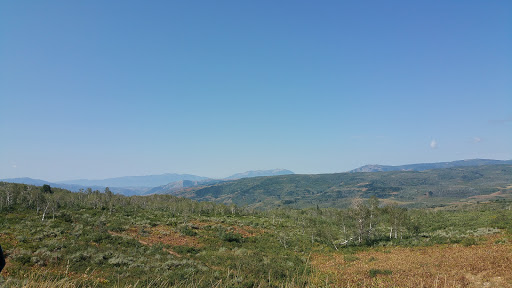 Cache National Forest - Visual