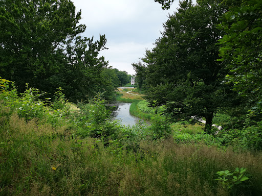 Spiegelvijver - Thumbnail