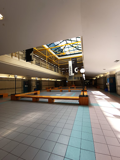 Learning Center Morgagni - Visual