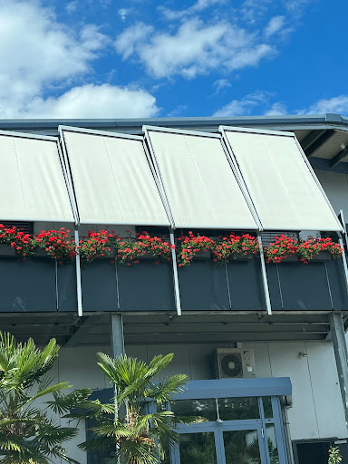 Blumen Endriss - Thumbnail