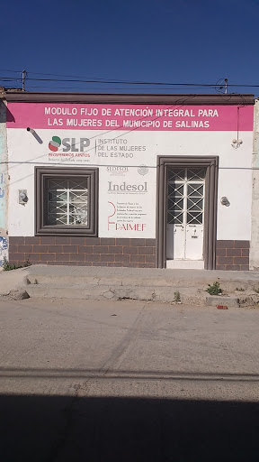 Centro de Atención Integral para las Mujeres del Municipio de Salinas