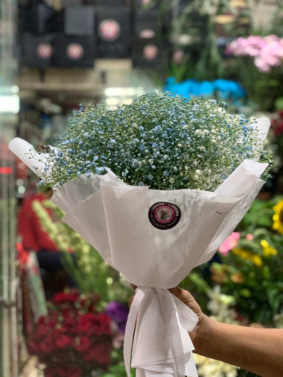 Sourour Brothers - صورة 4