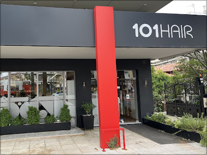 101HAIR