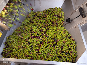 Photo n°7 de Moulin à huile Le Verdalet à Bessas (Fabricant d'huile d'olive)