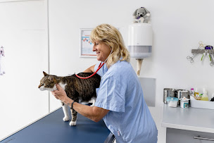 Photo n°4 de Clinique Vétérinaire Argos Villenave d'Ornon à Villenave-d'Ornon (Vétérinaire)