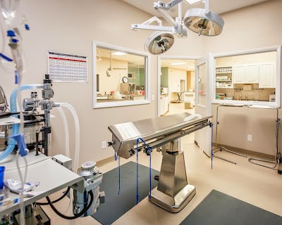 Photos of Mountain Emergency Animal Center
