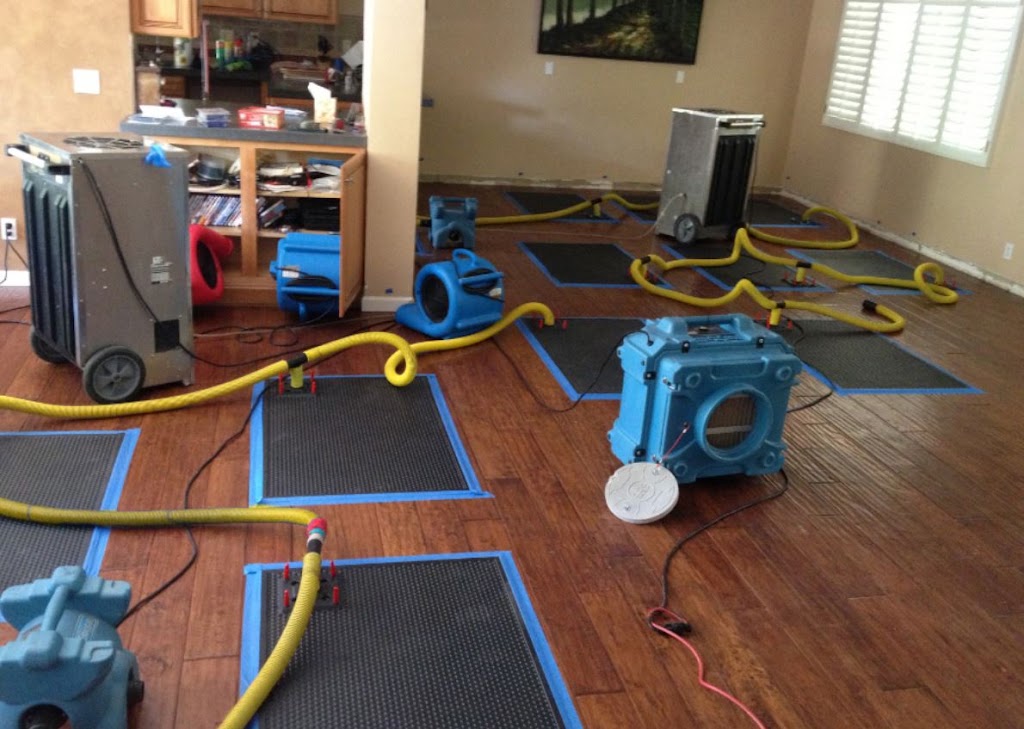 Nexus Water Damage Restoration Fort Lauderdale photo