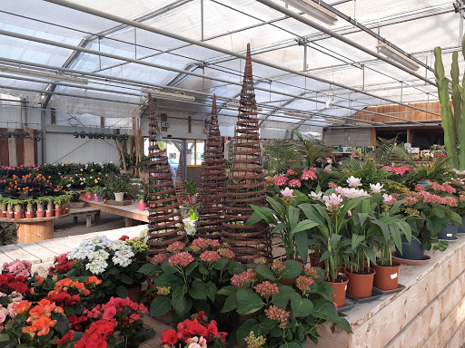Les Jardins de Saint Eloy - Thumbnail