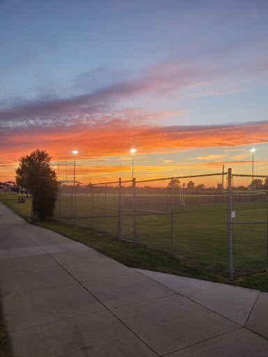 Champion Fields - Visual