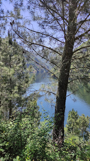 VISTAS Á RIBEIRA SACRA - Thumbnail