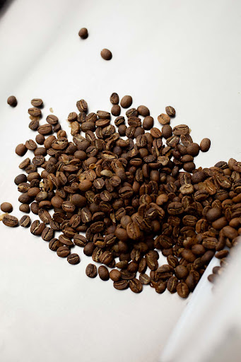 LOT ROASTERS - Thumbnail