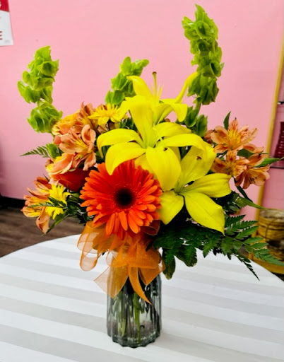 A2M Blooms - Visual