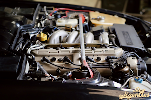 Photo n°10 de Le Raid des Légendes à Bidart (Agence de voyages)