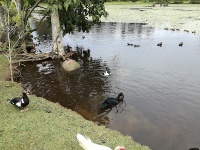 Photos of Expresi&oacute;n Laguna Do&ntilde;a Ana Park