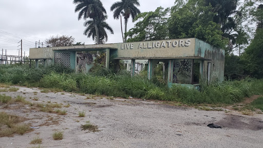 Gatorland - Visual
