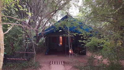 Photos of Big Game Camp Wilpattu