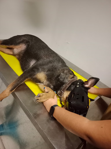 Pet Station Veterinary Clinic - Thumbnail