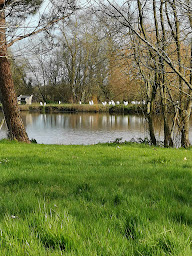 Photo n°14 de Gite de l'Hubertiere à Saint-Christophe-du-Ligneron (Gîte)