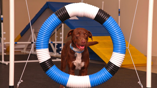 Pasadena Humane - Visual