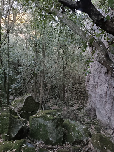 Gelfiser - Visual