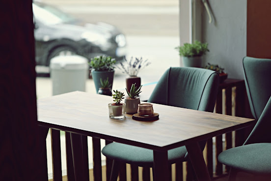 The Wild Duck by null